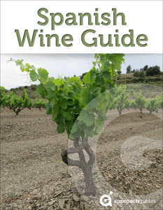 Spanish Wine Guide